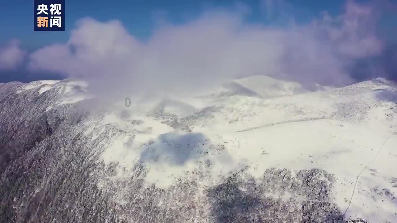 拯救可爱小浣熊